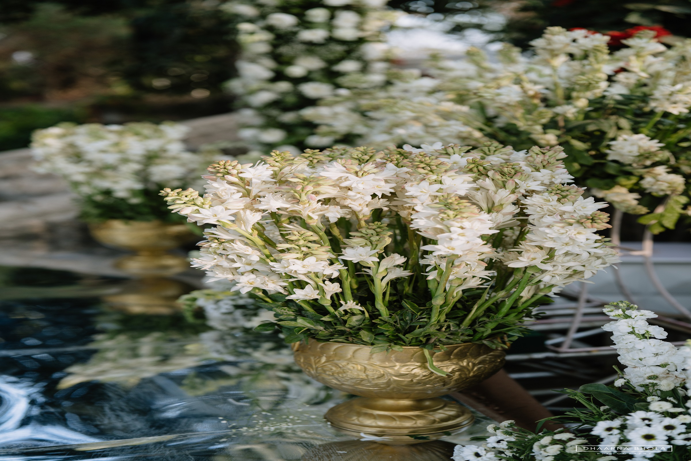 Image from Wedding - Samode Bagh